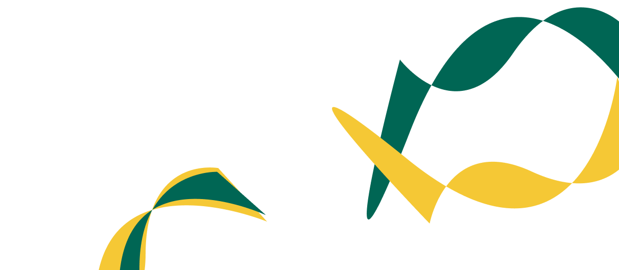 Expert Solutions for Corporate  Financial Success. - 捷报比分